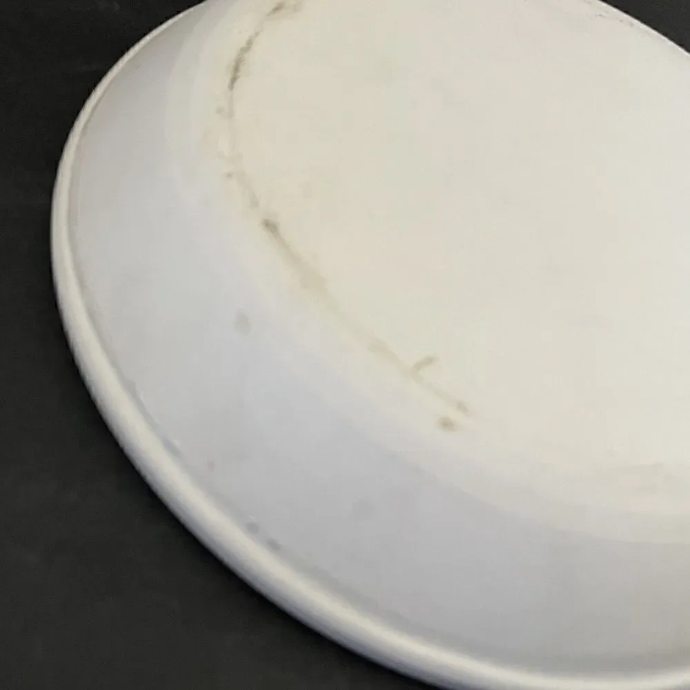 Pfaltzgraff Yorktowne Pie Plate Baking Dish Bird Stoneware Gray Blue 9.5